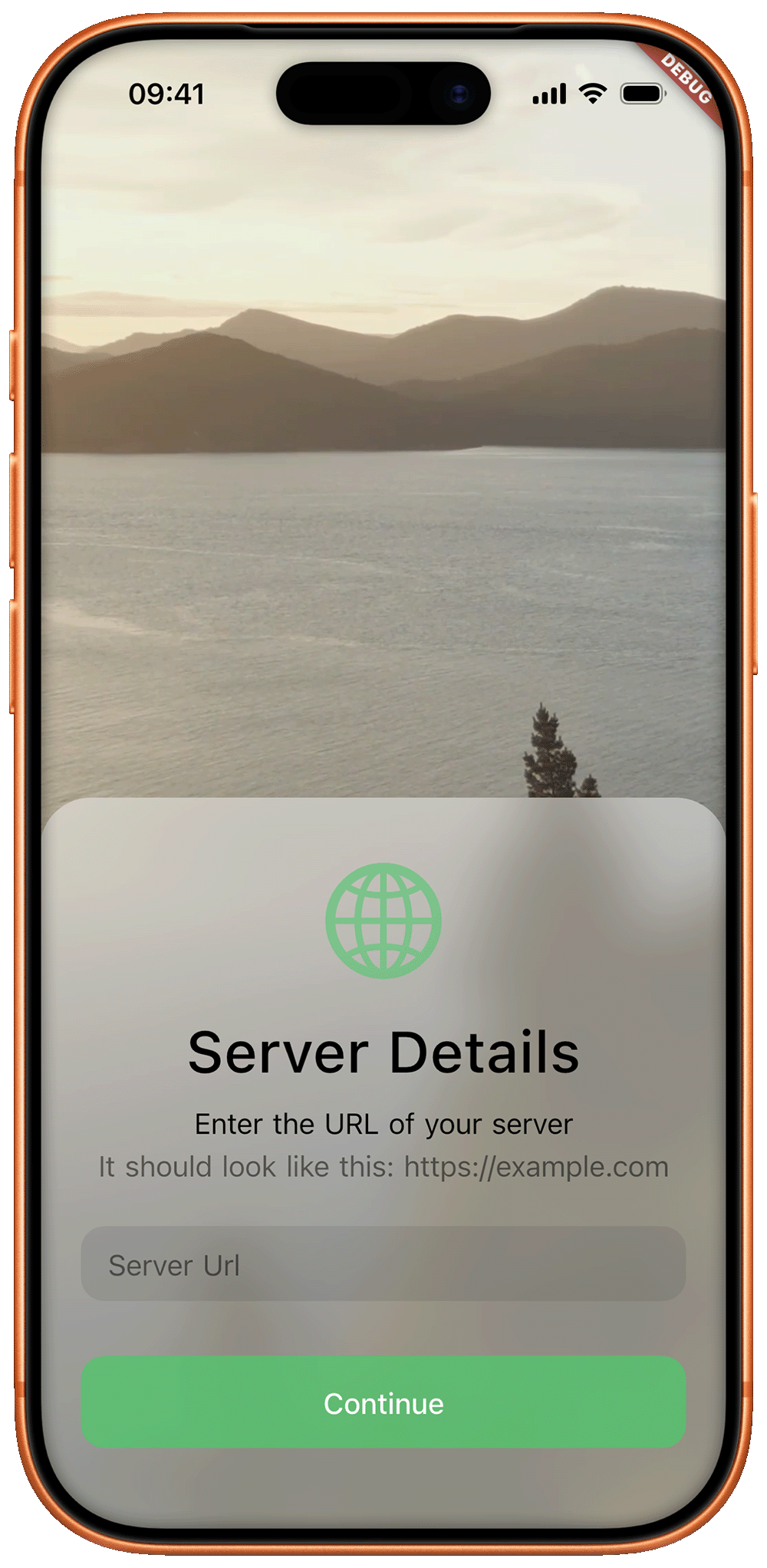 Fernwaerts server URL screen